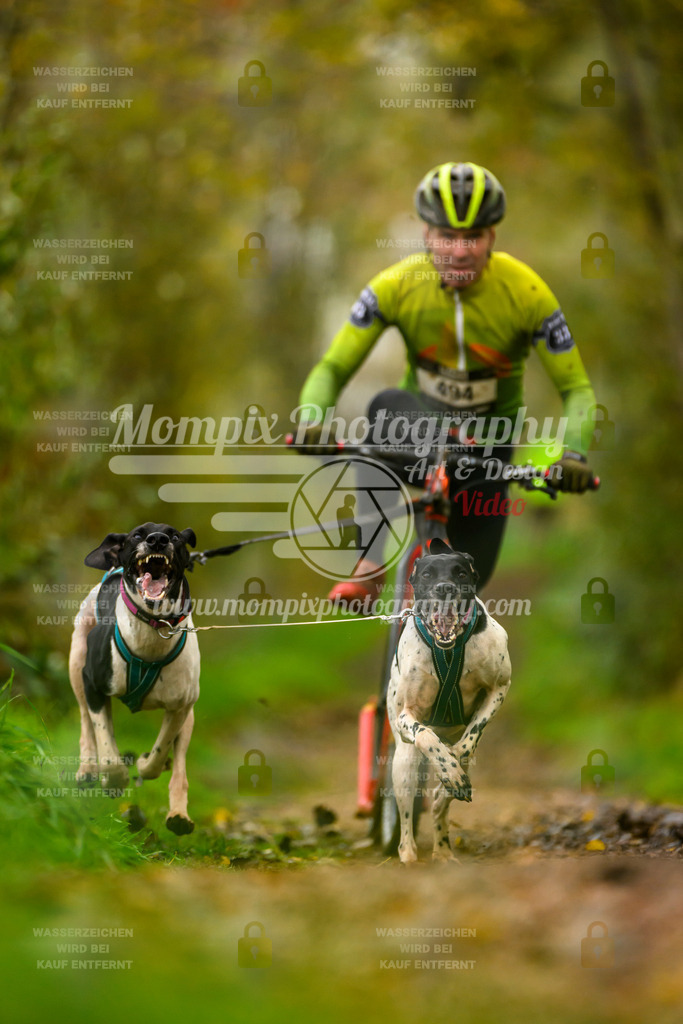 MompixPhotography_20TSB_E6_DS2-5 | PayLife