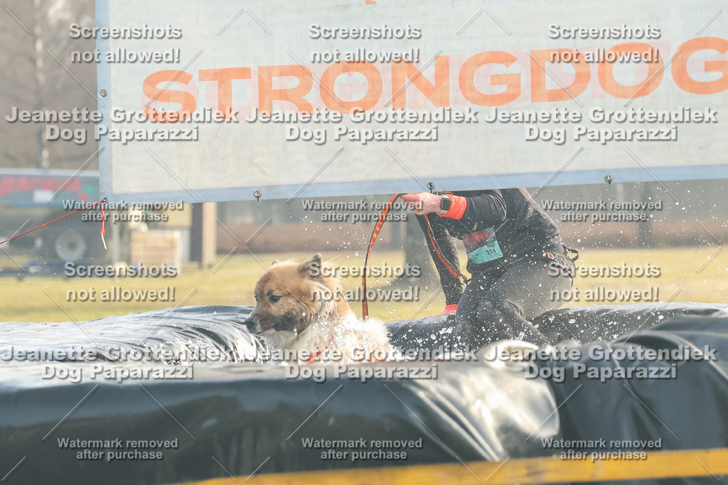 Dog Paparazzi - SD North Sa 830-900-28 | Dog Paparazzi Jeanette Grottendiek Fotografie & Videografie - Realisiert mit Pictrs.com