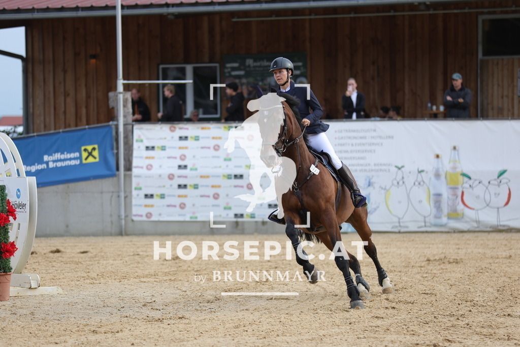 0P6A1591 | Willkommen bei Brunnmayr - Design & Fotografie – Ihrem Spezialisten für Reitturniere und Pferdeveranstaltungen in Oberösterreich, Salzburg und Bayern! Seit über 17 Jahren sind wir leidenschaftlich dabei.