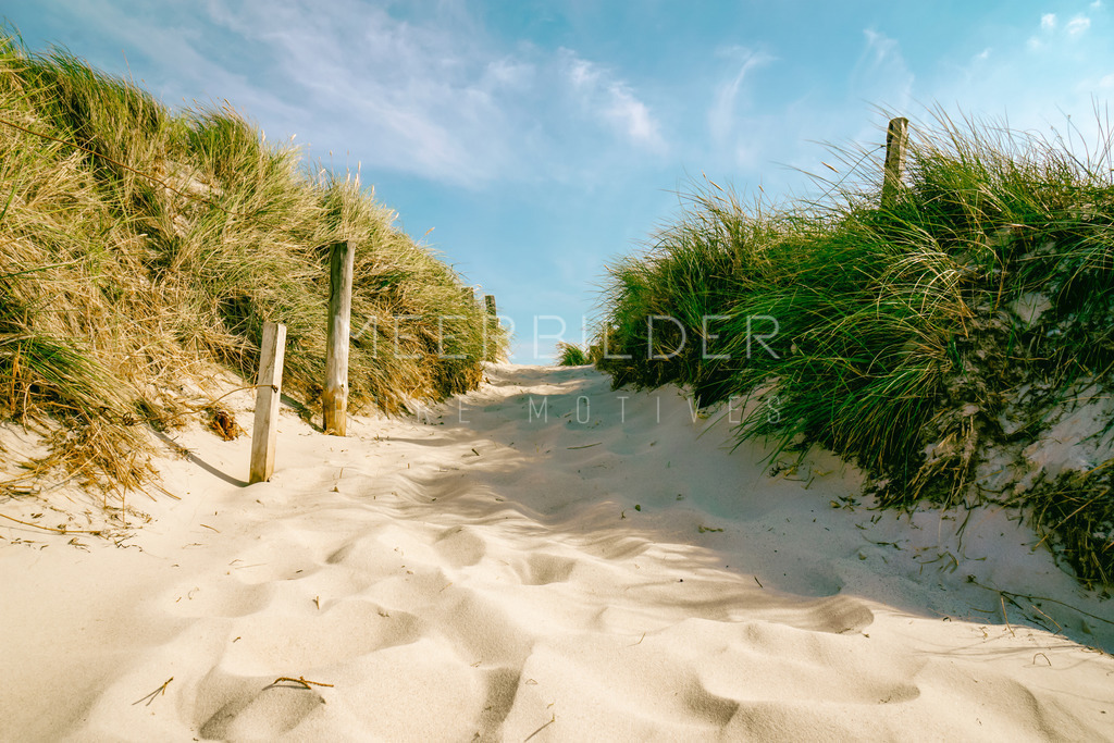 Darßer Ort - Dünenweg // Dünenbilder Ostsee | Gestalten Sie Ihr Zuhause mit einzigartigen Bildern von Ostsee u. Nordsee – als Leinwandbild, Acryl, Alu-Dibond oder FineArt Hahnemühle, individuell anpassbar.