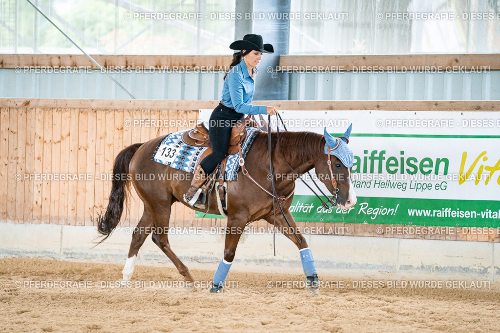 DSC08601 | Pferdegrafie