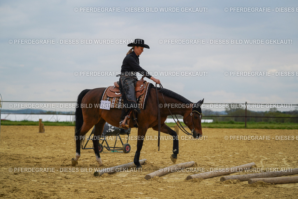 DSC07722 | Pferdegrafie