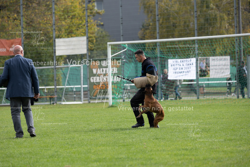 _16A7030 | Einzigartige Fotos von Hunden & Menschen –Actionfotos, Portraits, Vereinsaufnahmen & Paarshootings – authentisch, lebendig & mit Herz.