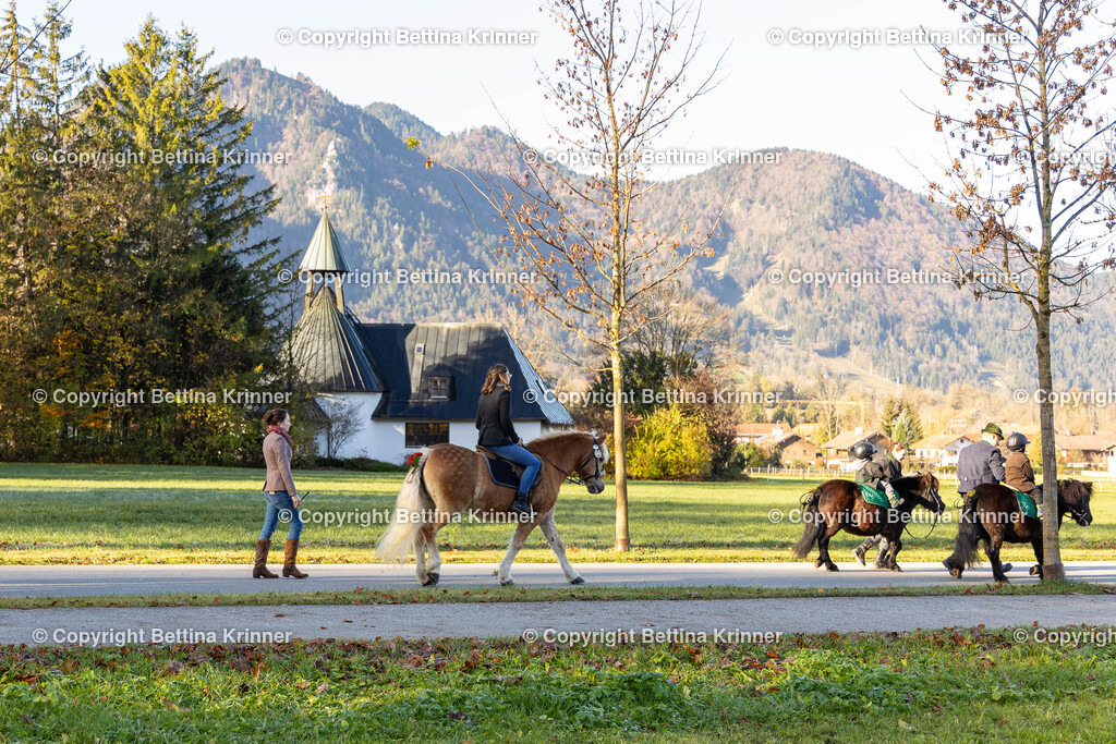 LL24-373 | foto-bettina-krinner - Realisiert mit Pictrs.com