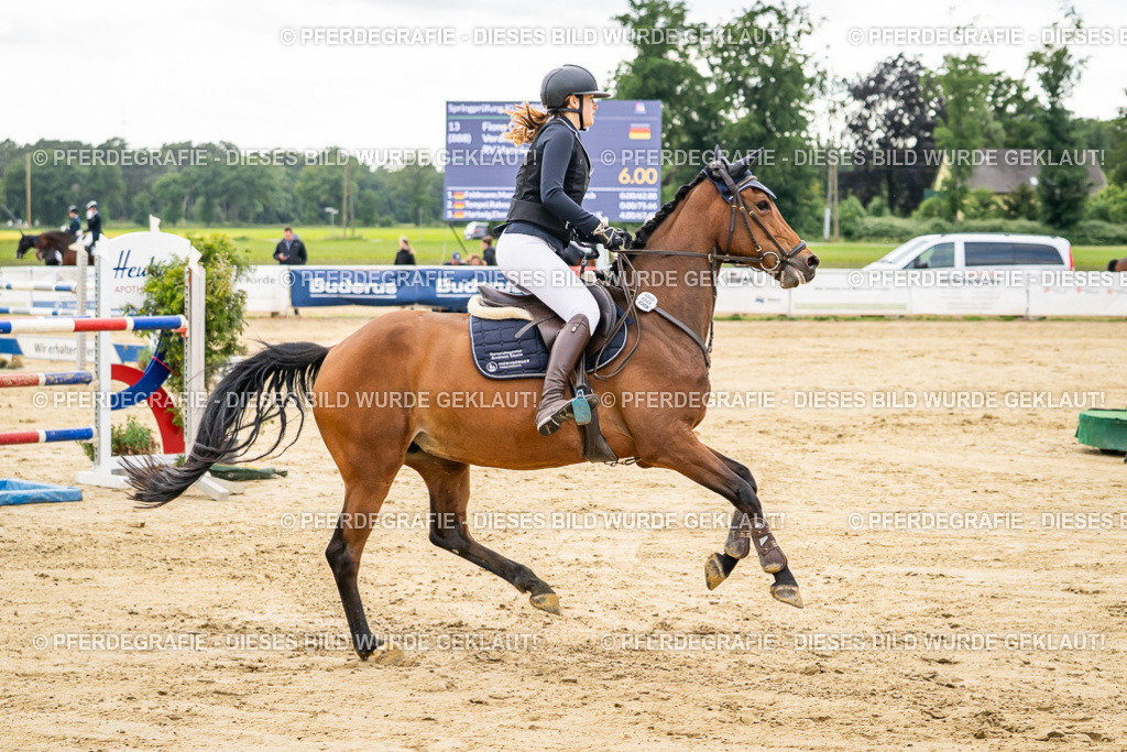 DSC06354 | Pferdegrafie