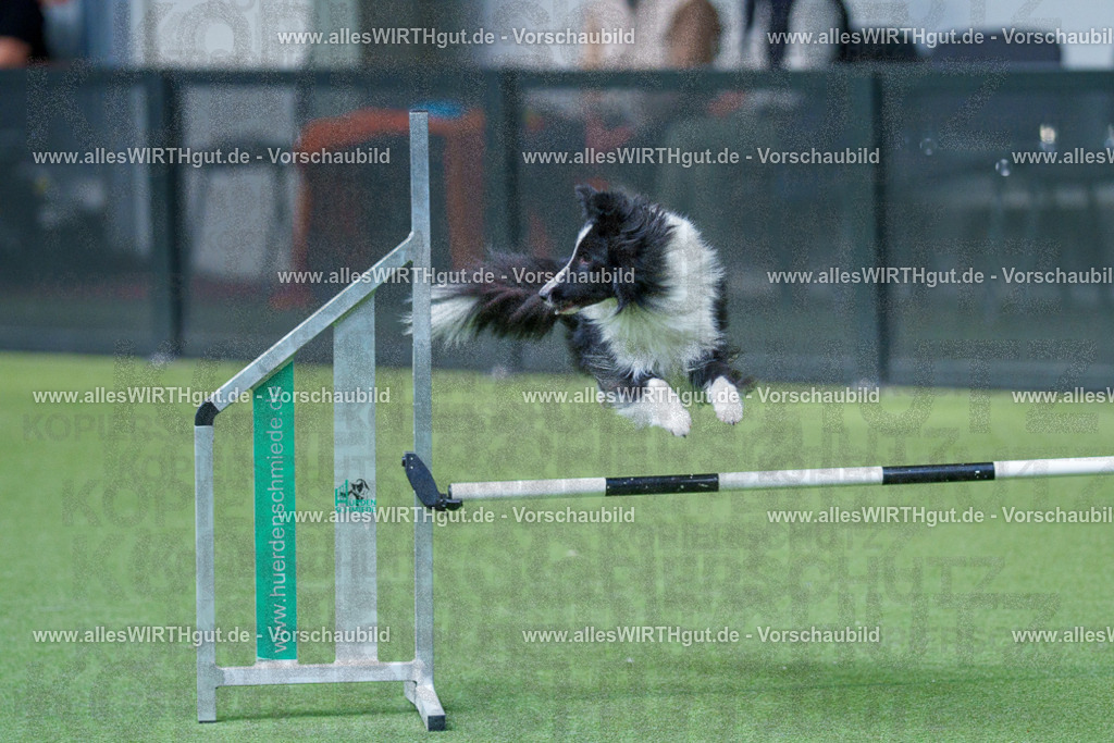 @allesWIRTHgut_Tierfotografie - www.allesWIRTHgut.de - 2604251527-7R505936 | Professionelle Tierfotografie in Mönchengladbach von Daniel Wirth (allesWIRTHgut). Liebevolle & natürliche Bilder von Hunden & Katzen für unvergessliche Erinnerungen.