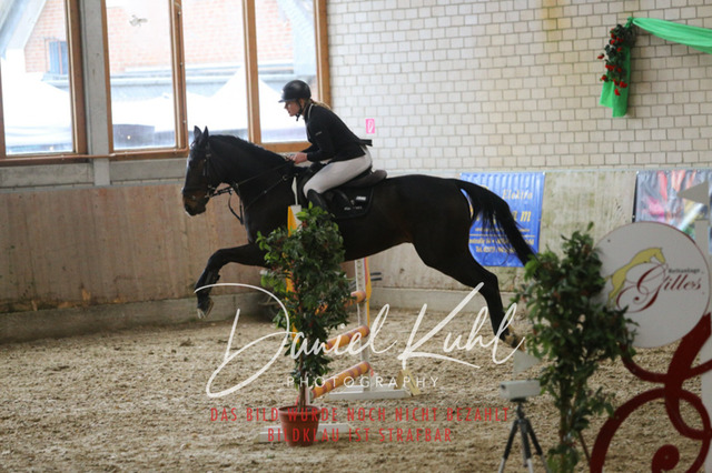 IMG_0666 | Turnierfotos kaufen im Webshop von Daniel Kuhl Photography – entdecke professionelle Reitsportfotos aus Turnieren & Events. Hochwertige Turnierbilder online bestellen & sichern. Jetzt Fotos von Reitsportturnieren kaufen!
