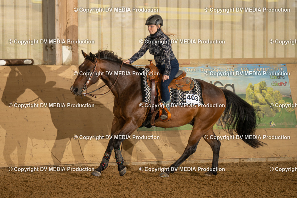 LAU00761 | dv-media-shop - Realisiert mit Pictrs.com