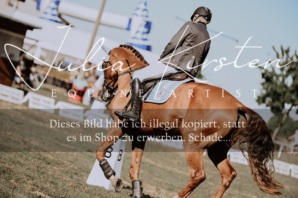 DSC_9306 | Pferde- und Turnierfotografie in Westsachsen. Pferdeportraits, Auftragszeichnungen und intuitive Kunst.