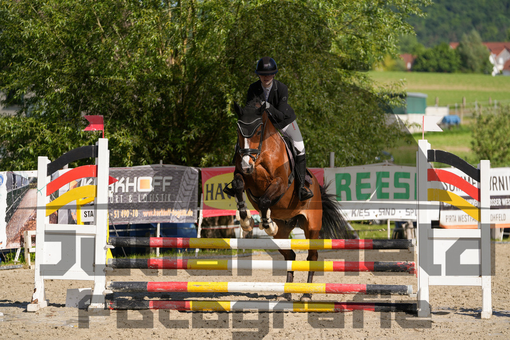 DSC02061 | Julian Held Fotografie - Realisiert mit Pictrs.com