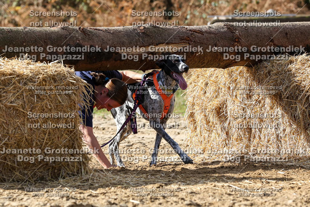 Dog Paparazzi - Strongdog 10-25-5213 | Dog Paparazzi Jeanette Grottendiek Fotografie & Videografie - Realisiert mit Pictrs.com