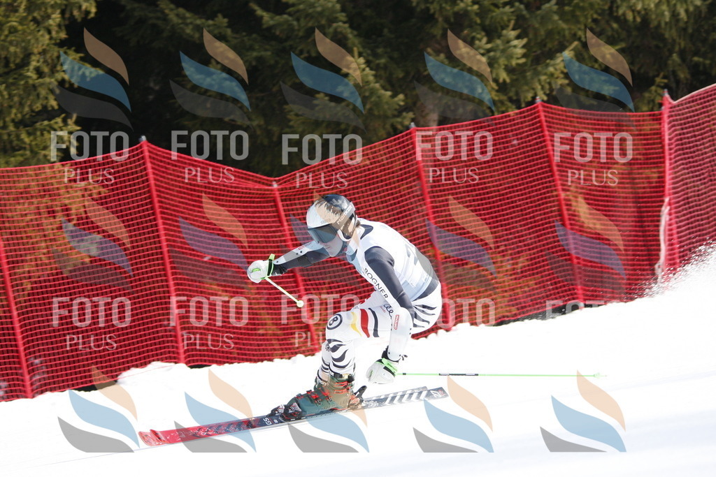 D8176 | holidayphoto