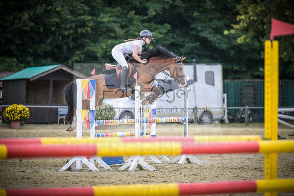 DOS_9737 | Entdecke hochwertige Reitturnierfotos von Foto Oger. Professionell, emotional und authentisch – jetzt Lieblingsmomente im Shop bestellen.Deutschlandweite Turnierfotografie. - Realisiert mit Pictrs.com