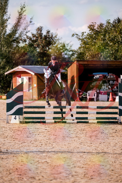 2026_10_03_Siefer-Hof_153547_Z81_47816858 | Professionelle Reitsport-, Turnier- und Eventfotografie von Robert Broda. Galerien mit ausgewählten und bearbeiteten Bildern direkt online ansehen und bestellen.