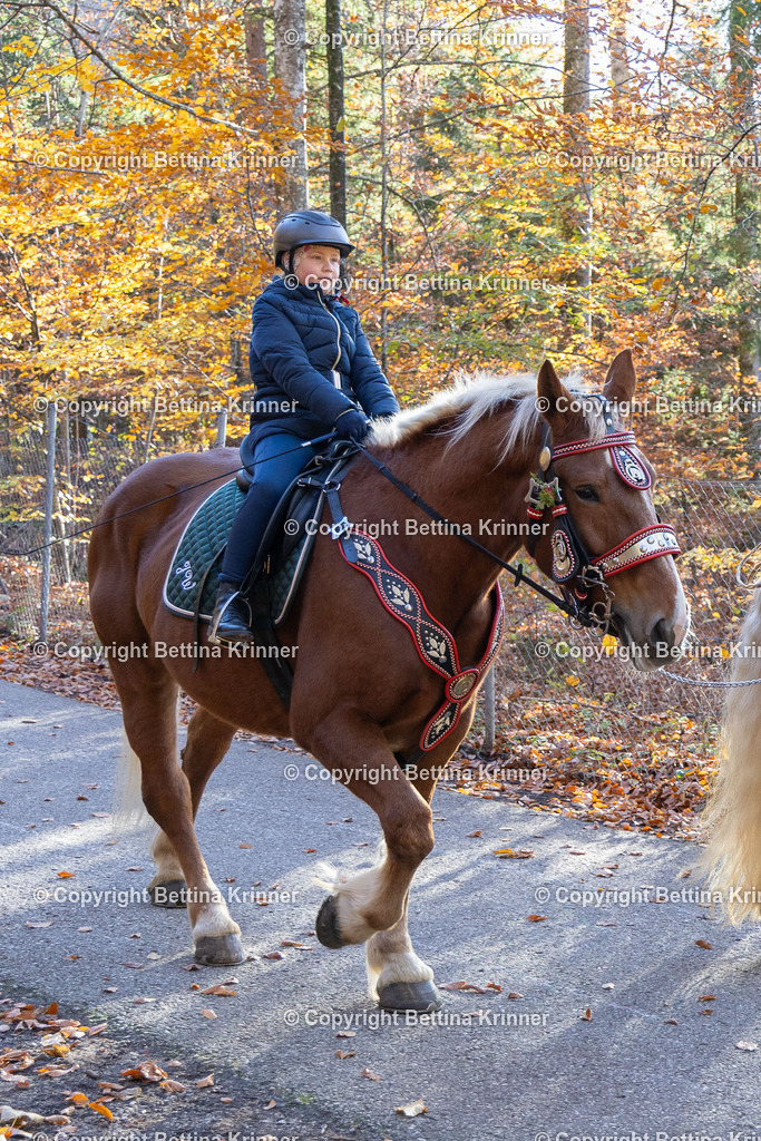 LL24-347 | foto-bettina-krinner - Realisiert mit Pictrs.com