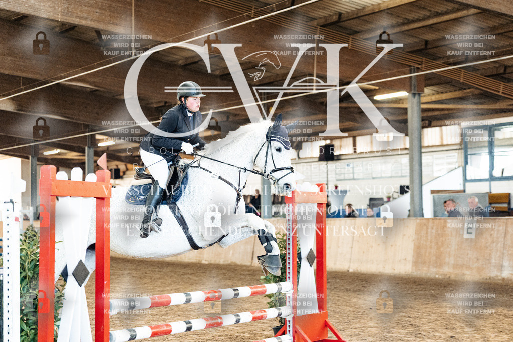 CK903963 | Turnierfotografie Pferdefotografie Trier Rheinland-Pfalz Pferdesport Reitsport Tierfotografie Sportfotografie Pferdevideo Pferdevideografie Equestrianvideography equestrianphotography  - Realized with Pictrs.com
