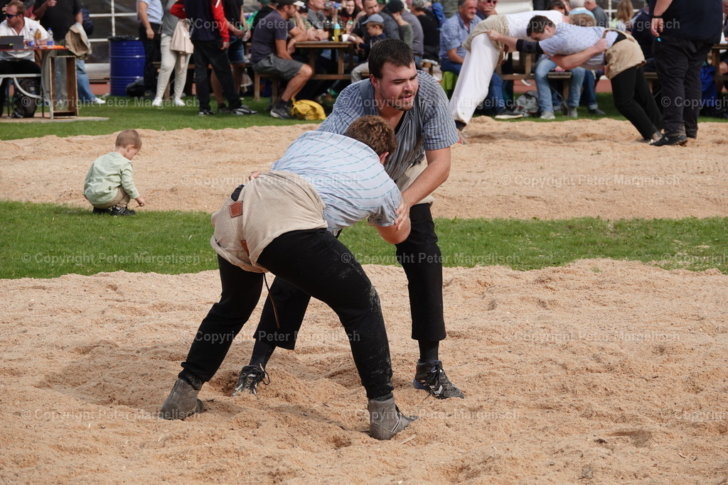 DSC08506 | Schwingen - Realisiert mit Pictrs.com