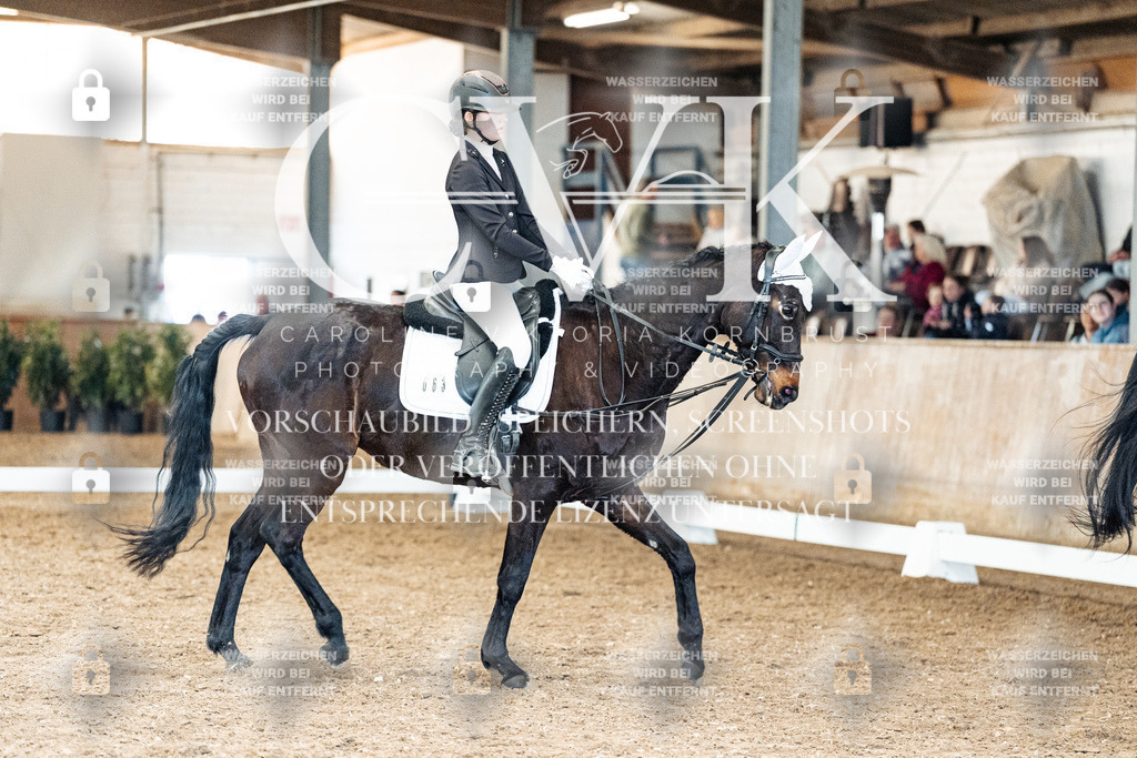 CK900321 | Turnierfotografie Pferdefotografie Trier Rheinland-Pfalz Pferdesport Reitsport Tierfotografie Sportfotografie Pferdevideo Pferdevideografie Equestrianvideography equestrianphotography  - Realisiert mit Pictrs.com