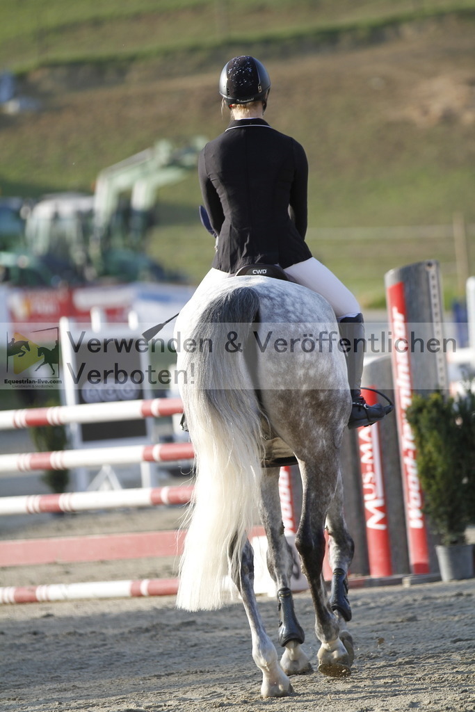 _MG_8559 | equestrian-live-com