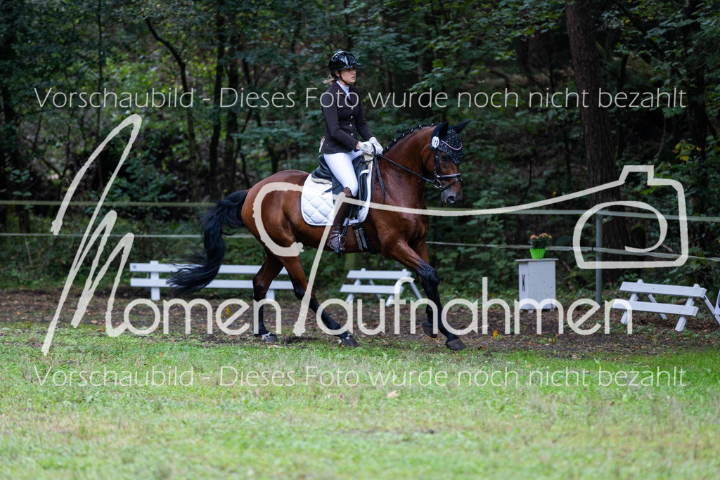 HB-A-Dressur-029 | MomenTaufnahmen Pferdesportfotos