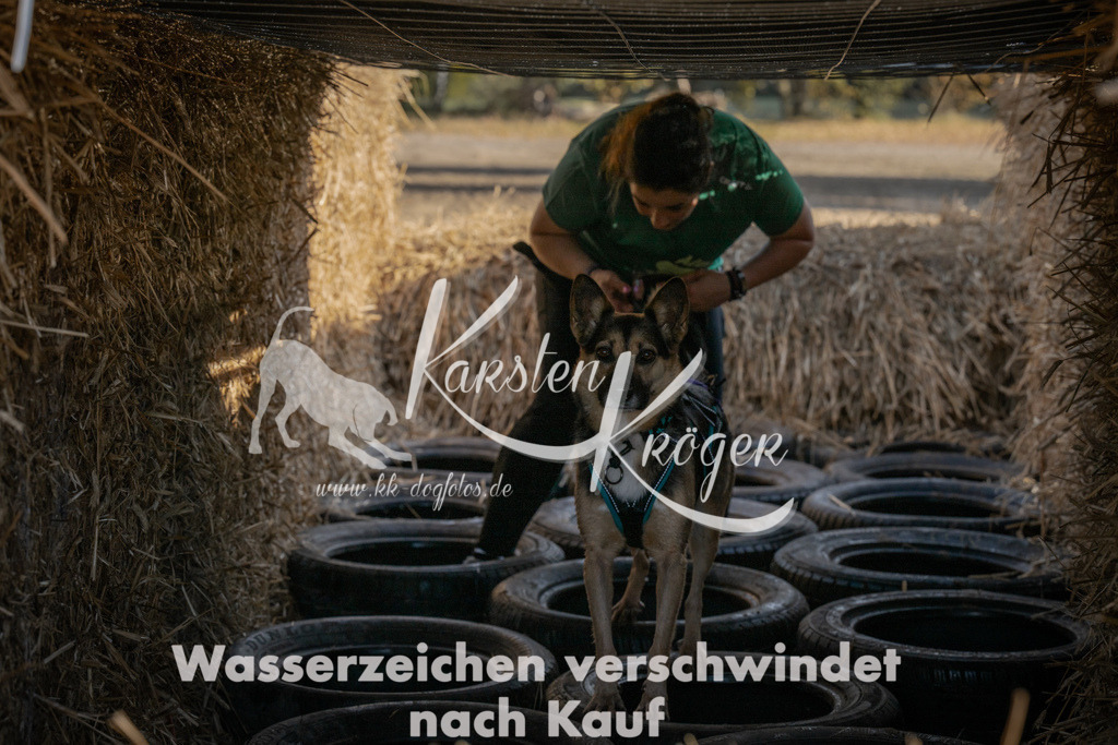 1056_ZZ99662 | kk-dogfotos