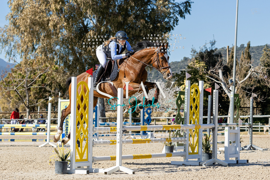 IMG_0167 | s-jay-photography - Realisiert mit Pictrs.com