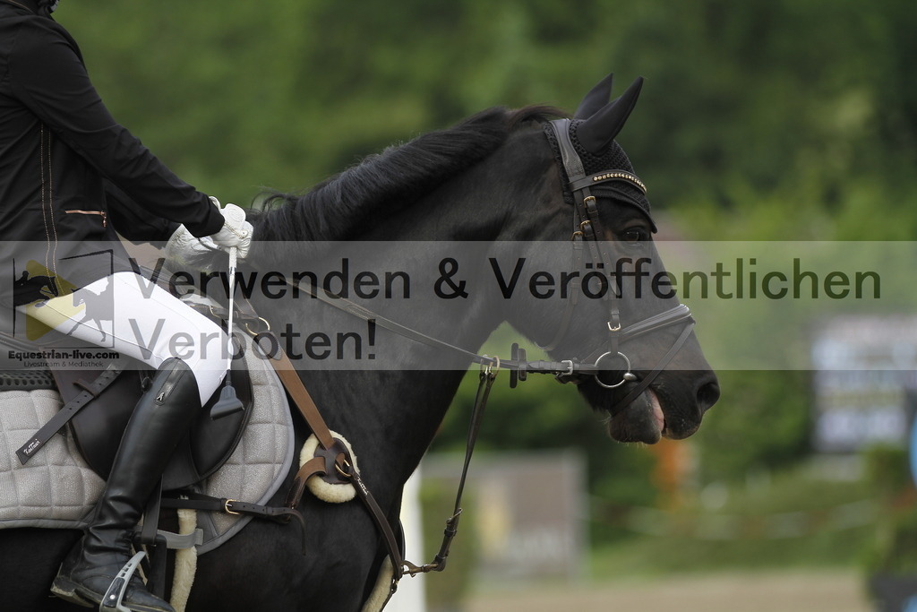 _MG_4230 | equestrian-live-com