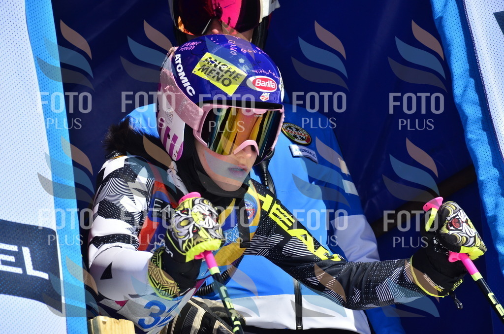 _ELE9985 | holidayphoto