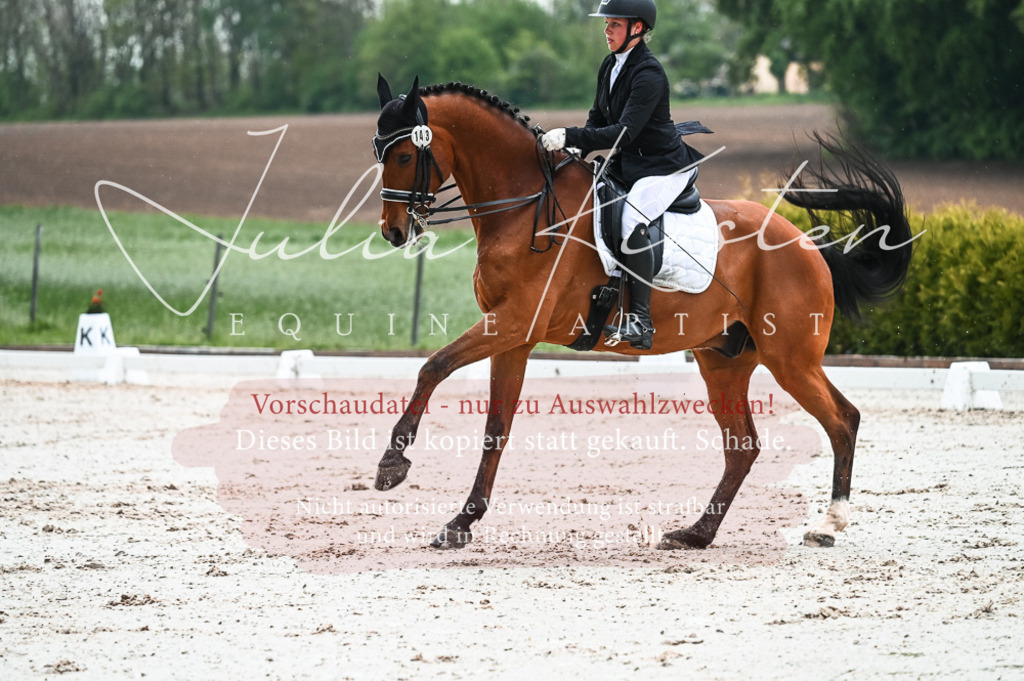 DSC_4395 | Pferde- und Turnierfotografie in Westsachsen. Pferdeportraits, Auftragszeichnungen und intuitive Kunst.