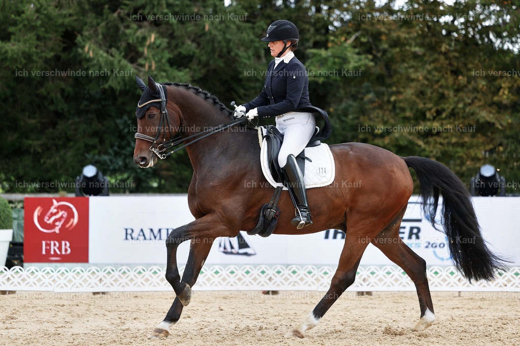 6-174-AMATUER-DRESSUR S_  -StoibPH-3493 | working equitationturnier fotograf videograf stoibphotography marixx film working equitation deutschland reitsport turnierfotografie eventfotografie equestrian events