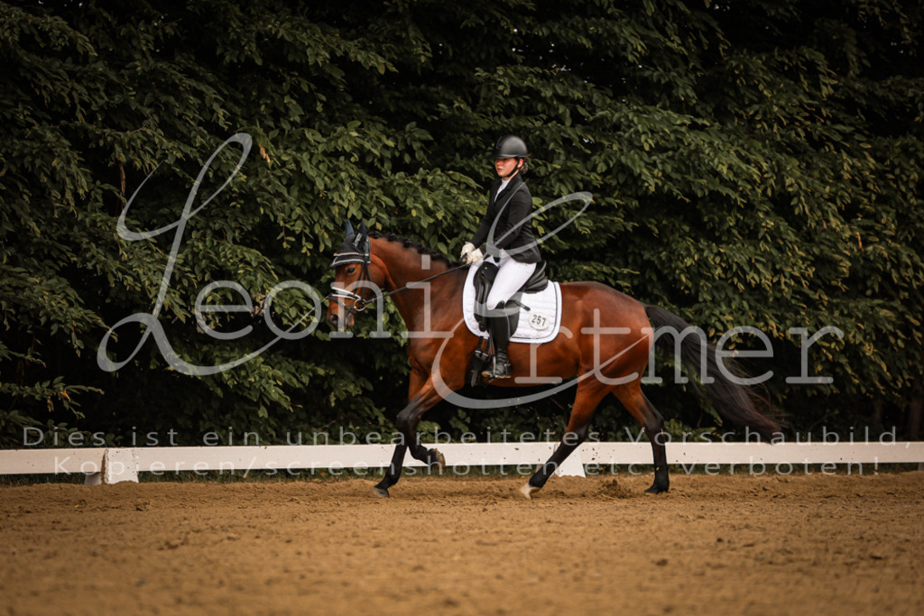 DoDrE00118 | Leoni Ertmer Photography - Realisiert mit Pictrs.com