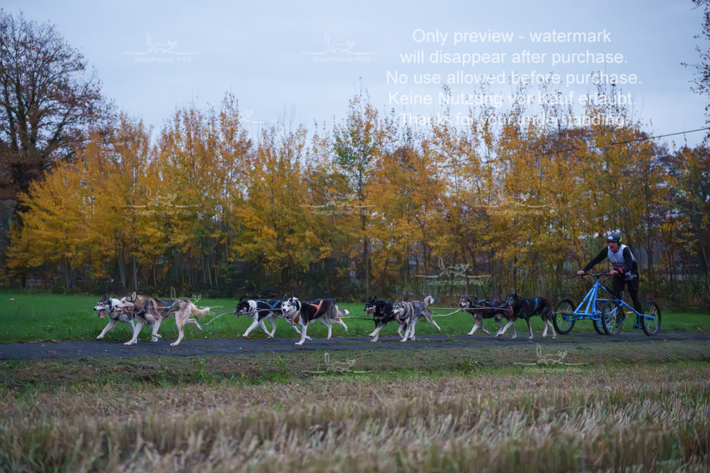 8er_Sa-7 | stephaniefillaphotographie - Realisiert mit Pictrs.com