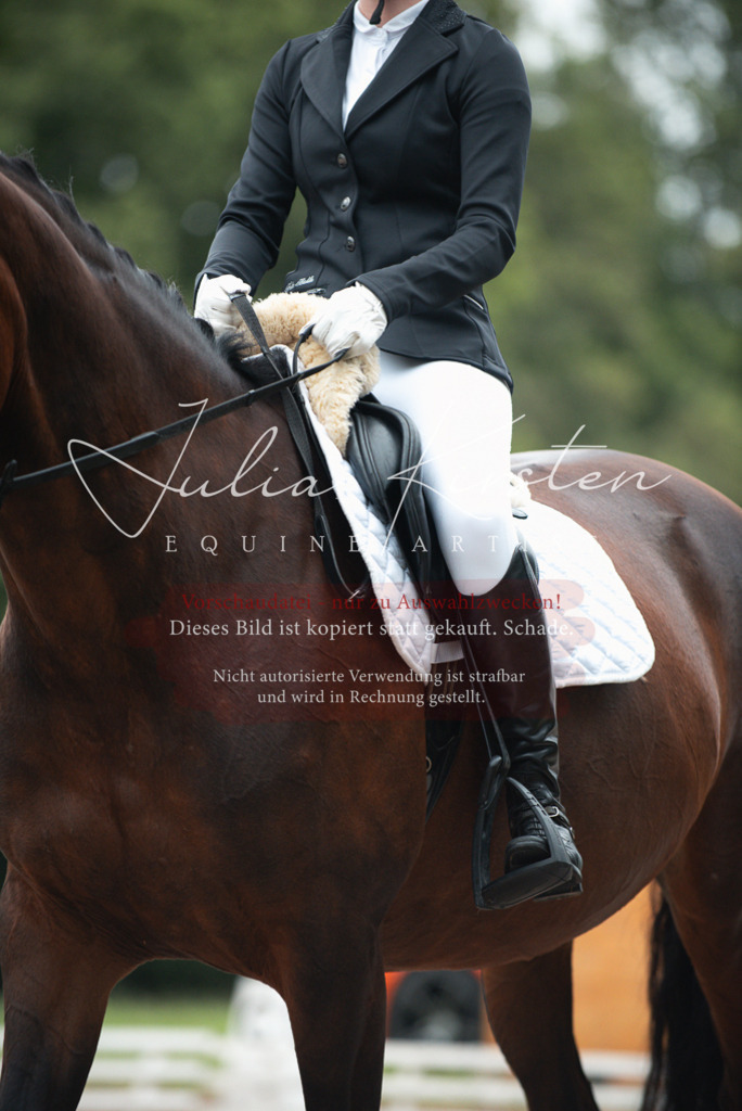 DSC_9596 | Pferde- und Turnierfotografie in Westsachsen. Pferdeportraits, Auftragszeichnungen und intuitive Kunst.