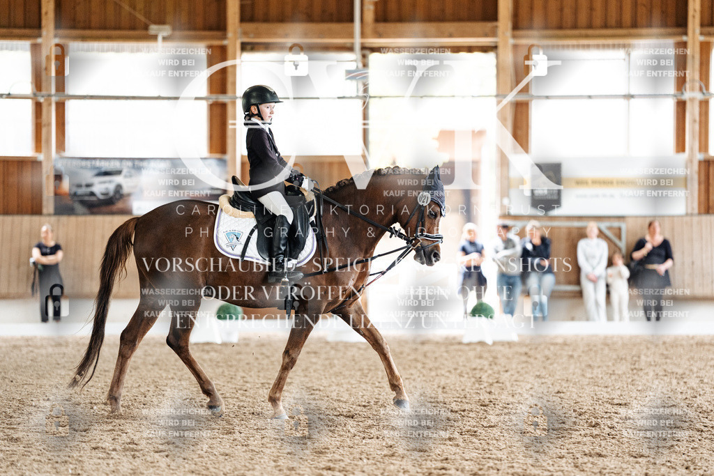 CK901694 | Turnierfotografie Pferdefotografie Trier Rheinland-Pfalz Pferdesport Reitsport Tierfotografie Sportfotografie Pferdevideo Pferdevideografie Equestrianvideography equestrianphotography  - Realized with Pictrs.com