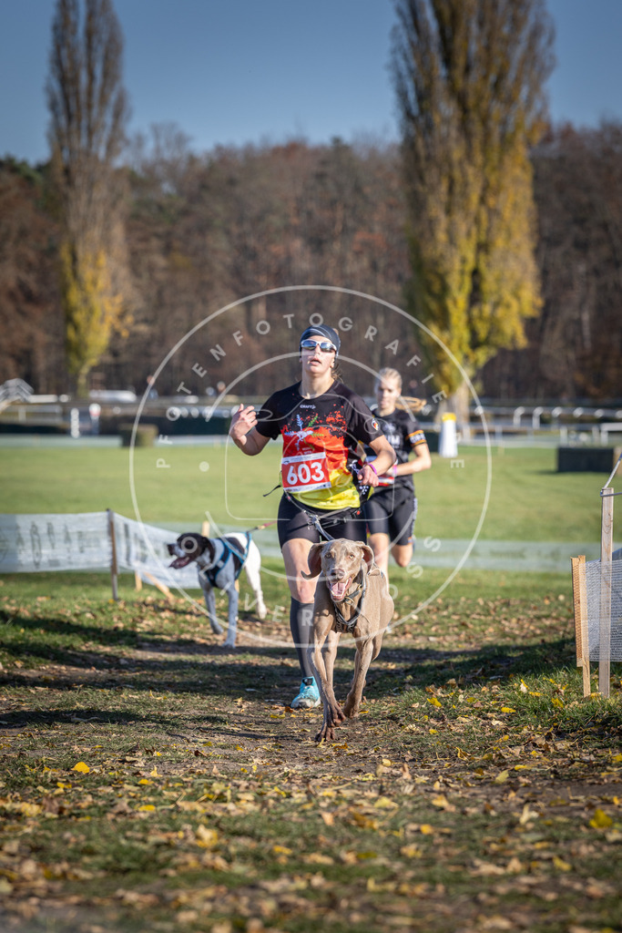 CaniXpix_DV3A9554 | Hundefotografie, Tierfotograf, Pfotenfotografie, Fotoshooting Hund, Hunde Portrait, Hundesport, Hundeportraits, Heideshooting, Hunde, Sportfotograf, Hundefotograf, Turnierhundsport, THS,  - Realisiert mit Pictrs.com