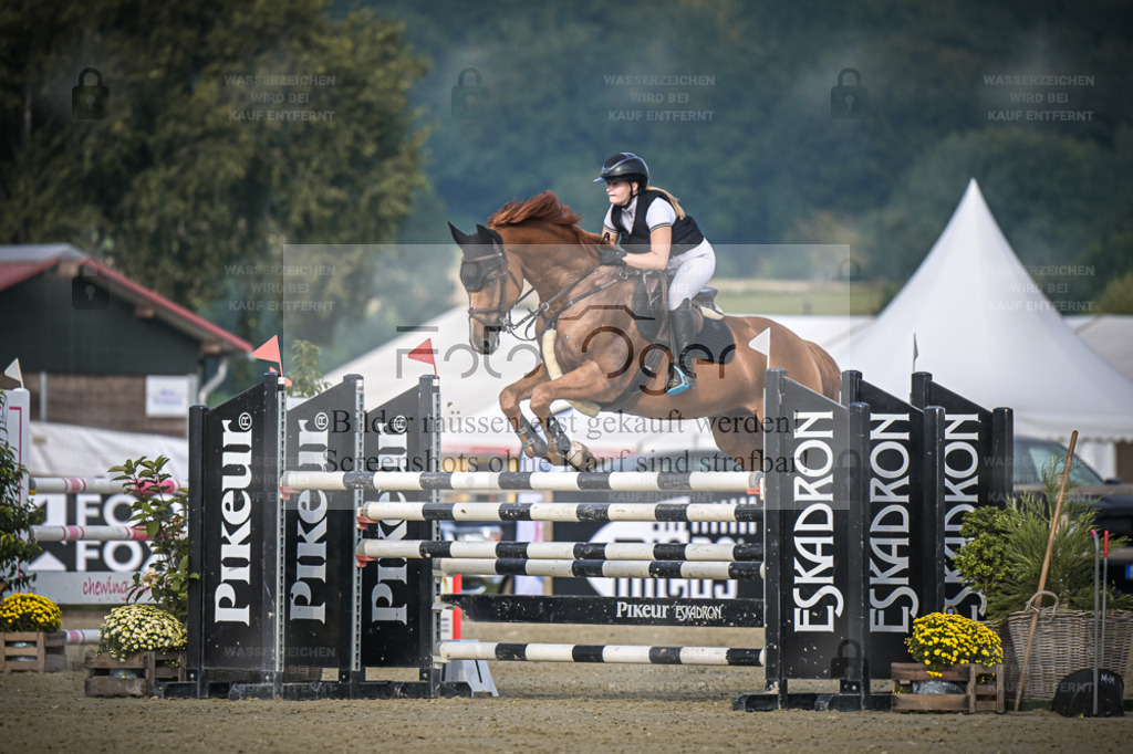 DOS_2238 | Entdecke hochwertige Reitturnierfotos von Foto Oger. Professionell, emotional und authentisch – jetzt Lieblingsmomente im Shop bestellen. - Realisiert mit Pictrs.com