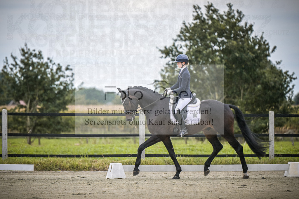 DOS_0128 | Entdecke hochwertige Reitturnierfotos von Foto Oger. Professionell, emotional und authentisch – jetzt Lieblingsmomente im Shop bestellen.Deutschlandweite Turnierfotografie. - Realisiert mit Pictrs.com