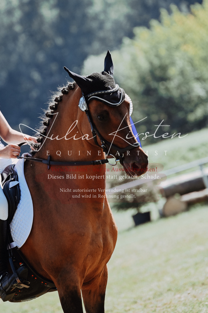 DSC_6267 | Pferde- und Turnierfotografie in Westsachsen. Pferdeportraits, Auftragszeichnungen und intuitive Kunst.