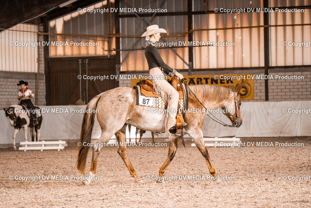 ZH100163 | dv-media-shop - Realisiert mit Pictrs.com