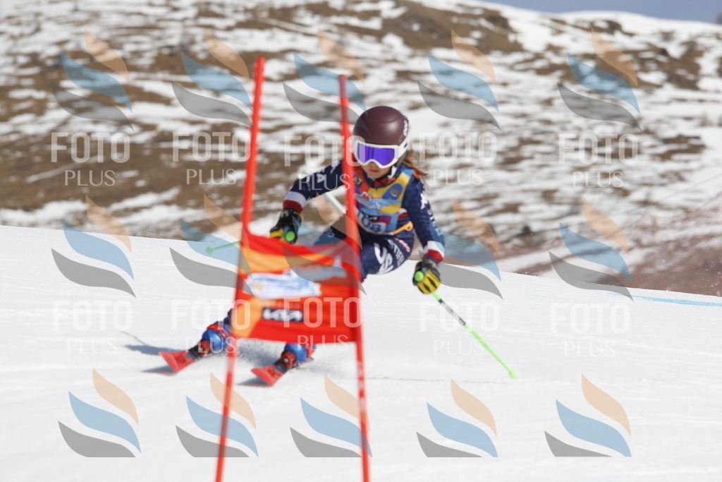 _U3G0456 | holidayphoto