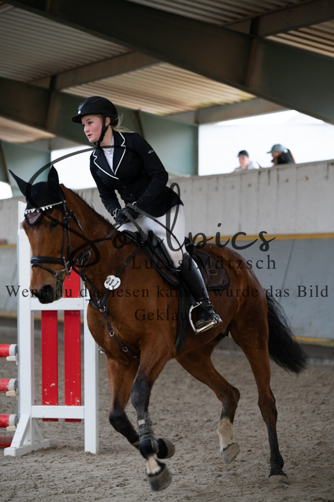 A7V03899 | Pferdefotograf