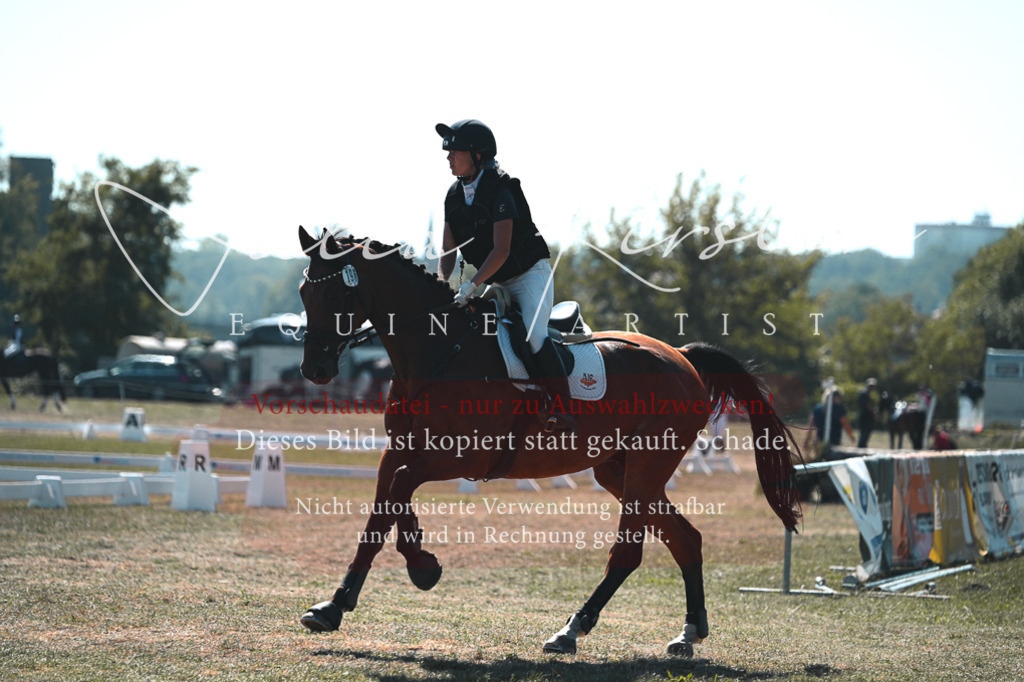 DSC_8389 | Pferde- und Turnierfotografie in Westsachsen. Pferdeportraits, Auftragszeichnungen und intuitive Kunst.