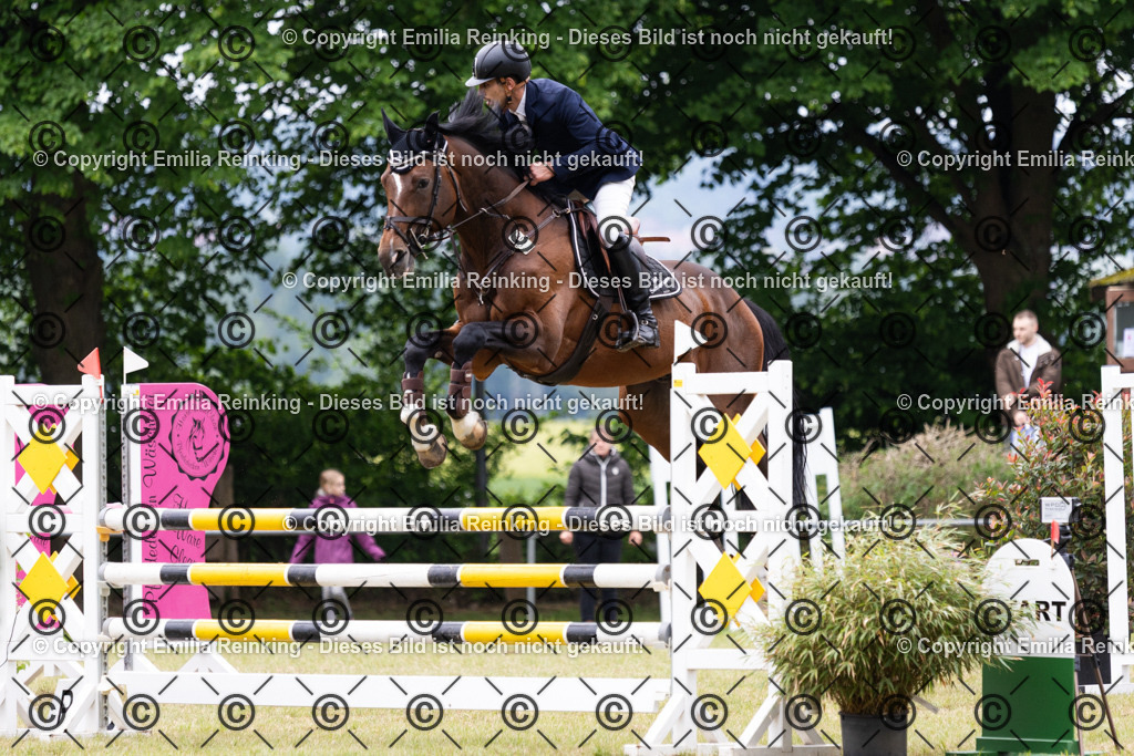 CL5A9034 | Emilia Reinking Fotografie - Realisiert mit Pictrs.com