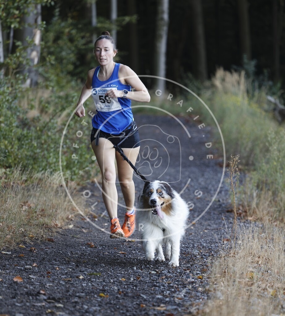 0L8A1848 | Hundefotografie, Tierfotograf, Pfotenfotografie, Fotoshooting Hund, Hunde Portrait, Hundesport, Hundeportraits, Heideshooting, Hunde, Sportfotograf, Hundefotograf, Turnierhundsport, THS,  - Realisiert mit Pictrs.com