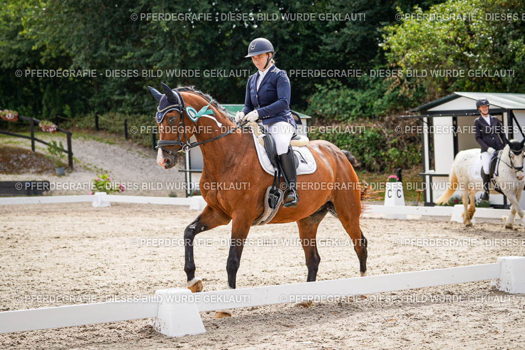 DSC02420 | Pferdegrafie