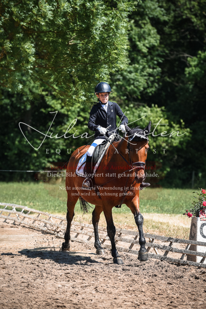 DSC_2954 | Pferde- und Turnierfotografie in Westsachsen. Pferdeportraits, Auftragszeichnungen und intuitive Kunst.
