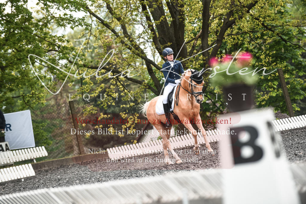 20230514_JK-Röhrsdorf-24-441 | Pferde- und Turnierfotografie in Westsachsen. Pferdeportraits, Auftragszeichnungen und intuitive Kunst.