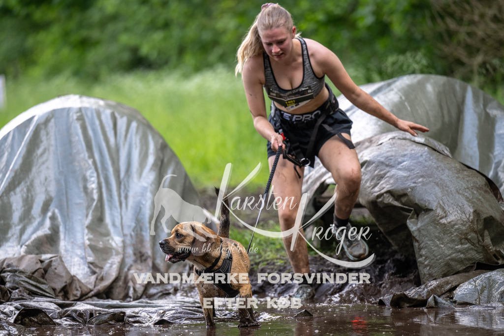 1330_ZZ91279 | kk-dogfotos