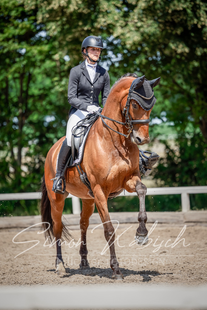 20250621-_3LI8569 | Tierfotografie Pferde, Hunde, Katzen, Haustiere.
Turnierfotografie Reitturniere, Reiten, Springreiten, Dressur in Hanau, dem Main-Kinzig-Kreis und dem Rhein-Main- Gebiet um Frankfurt