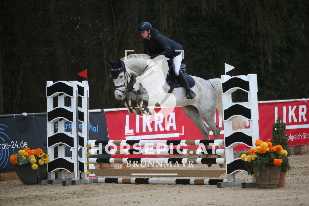 AS8V9077 | Willkommen bei Brunnmayr - Design & Fotografie – Ihrem Spezialisten für Reitturniere und Pferdeveranstaltungen in Oberösterreich, Salzburg und Bayern! Seit über 17 Jahren sind wir leidenschaftlich dabei.